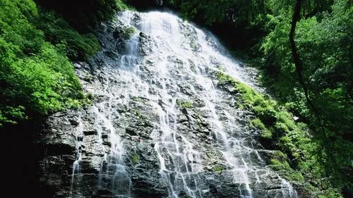 高端科技稳定性